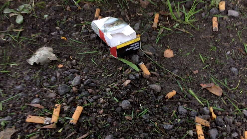 cigarettask och fimpar på marken