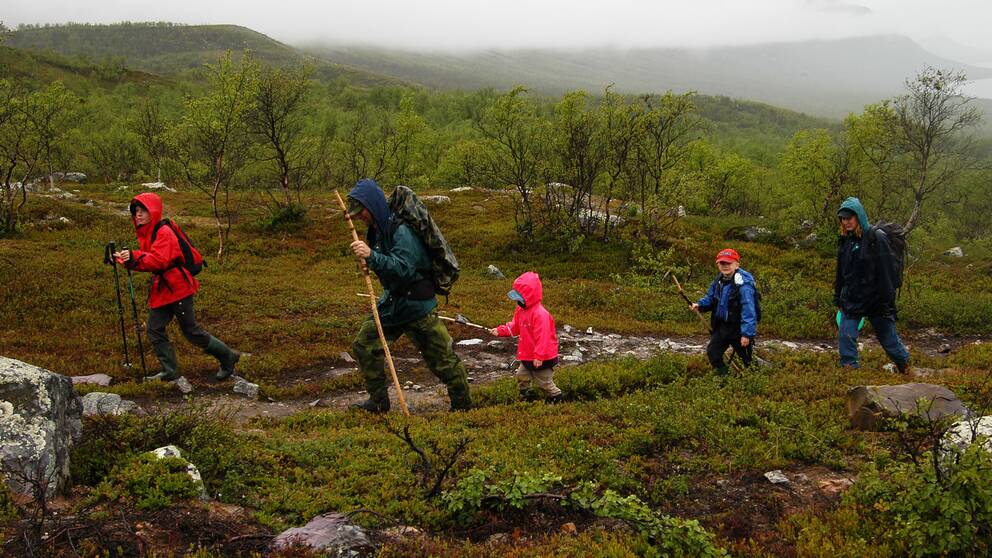 Fjällen
