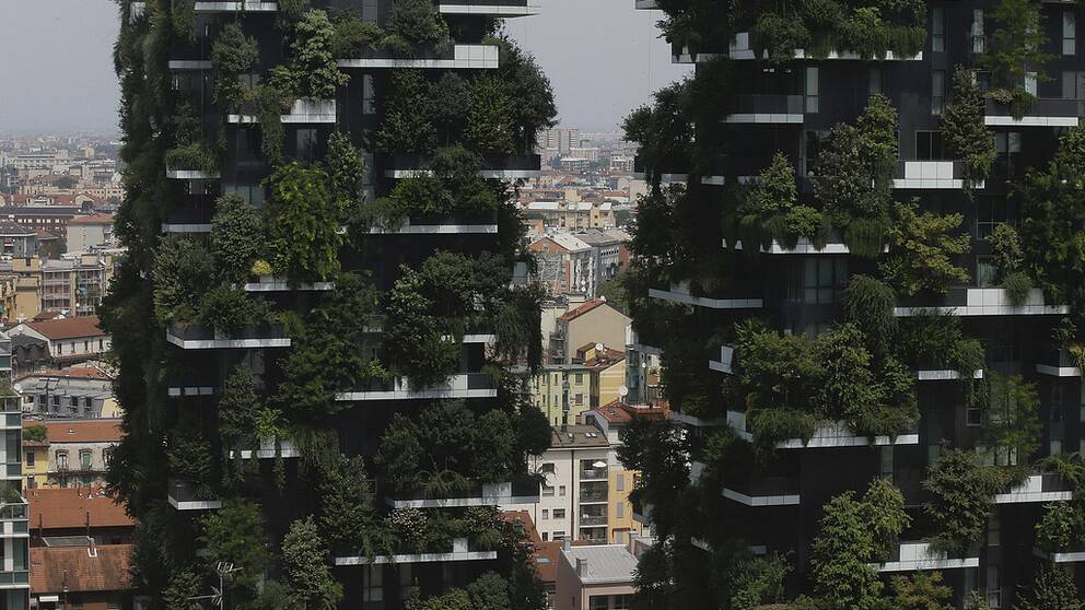 The twin towers of the 'Bosco Verticale' (Vertical Forest) residential buildings at the Porta Nuova district, frame a view of Milan, Italy, Thursday, Aug. 3, 2017. Designed by the Boeri studio, it was named Äú2015 Best Tall Building WorldwideÄù by th Council on Tall Buildings and Urban Habitat. (AP Photo/Luca Bruno)