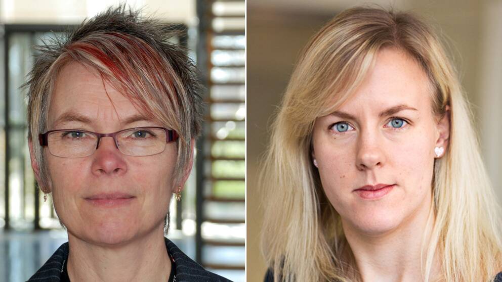 Statsvetaren Agneta Blom och Anna Frenzel, utredare på Brottsförebyggande rådet.