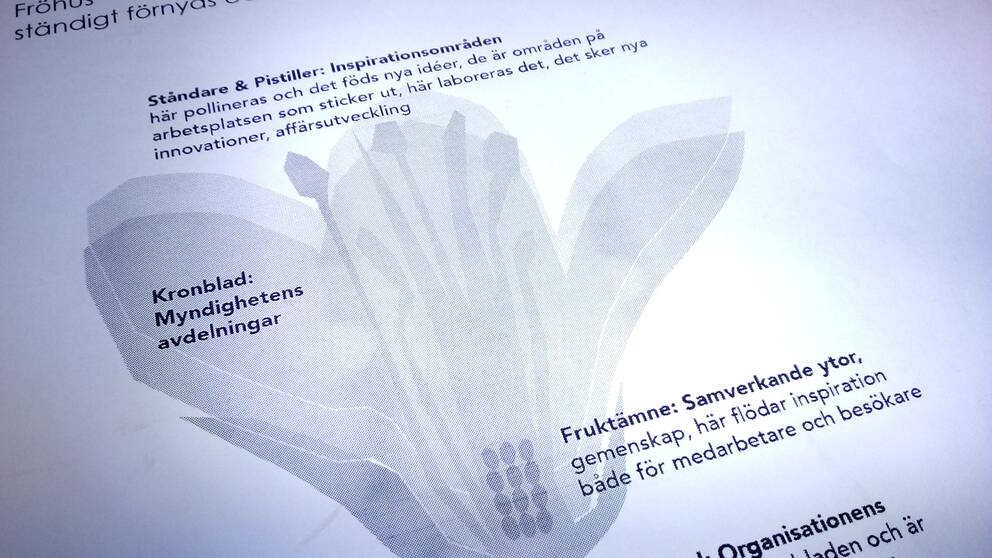 Konsultrapporten