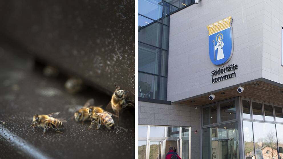 bin humlor södertälje stadshus