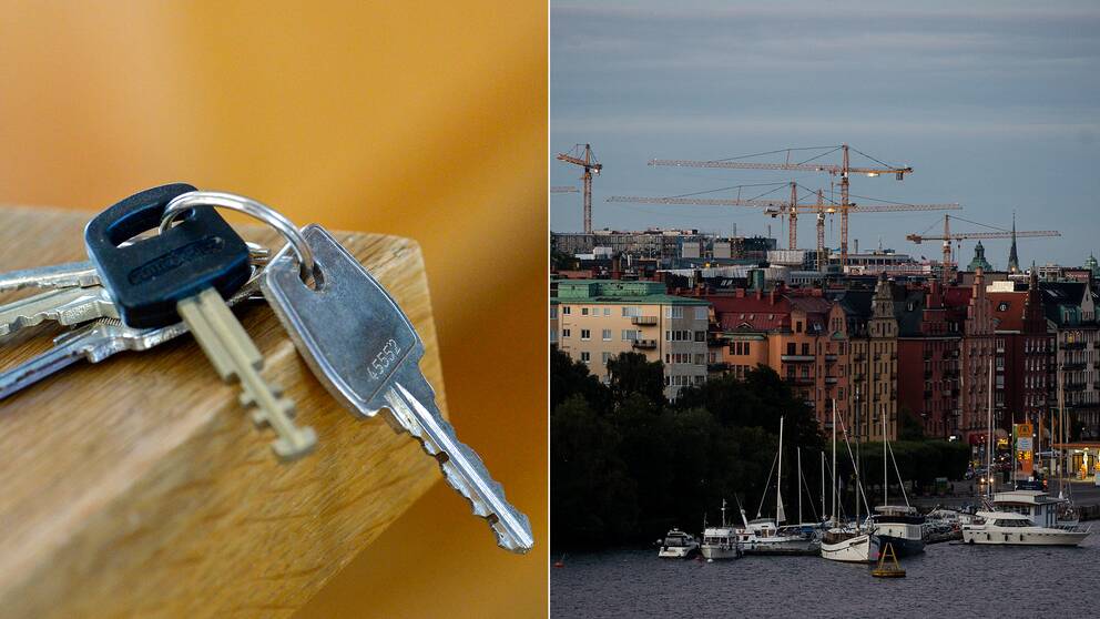 Svart benägen kön
