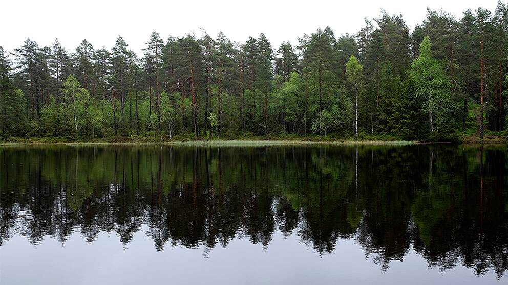 En sjö