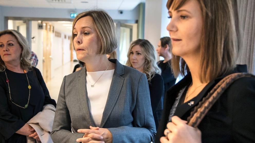 Vilken Linje Ska Man Gå Om Man Vill Bli Advokat