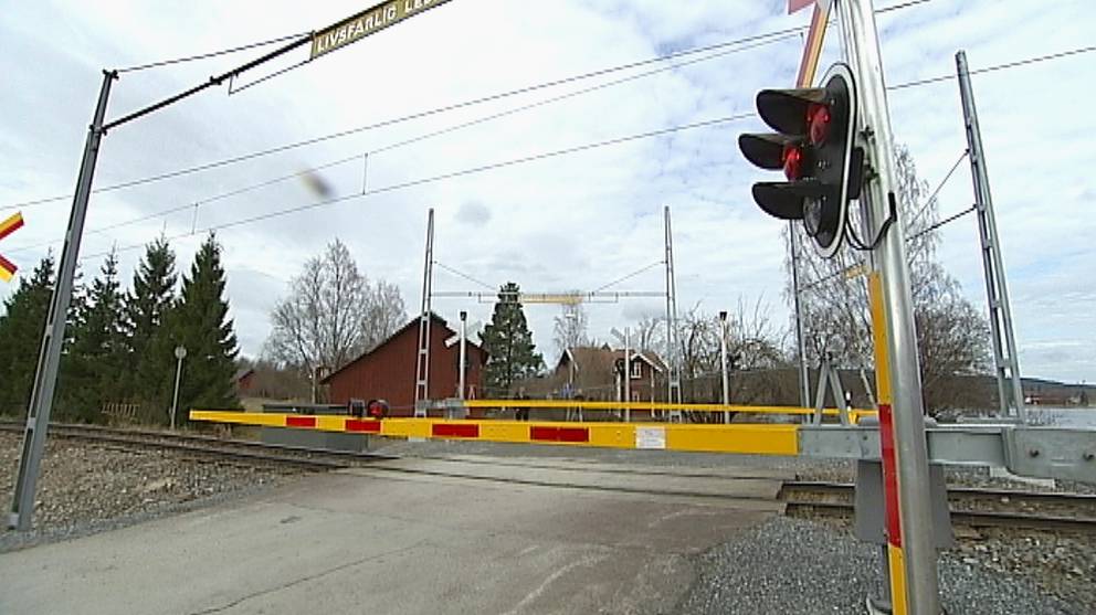 m-nga-olyckor-vid-farliga-j-rnv-gskorsningar-svt-nyheter