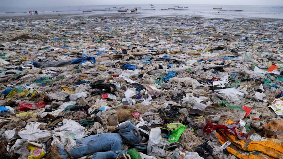 En strand i Bombay, Indien, helt täckt av skräp som mestadels består av plast.
