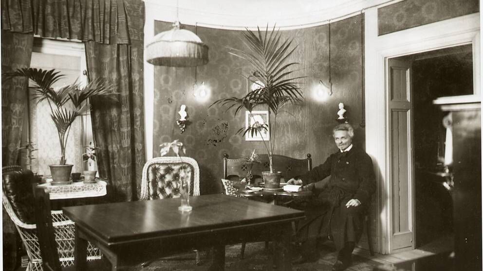 Image result for strindbergsmuseet