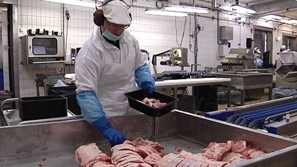 Slakterier Nobbar Hastar Efter Skandalen Svt Nyheter