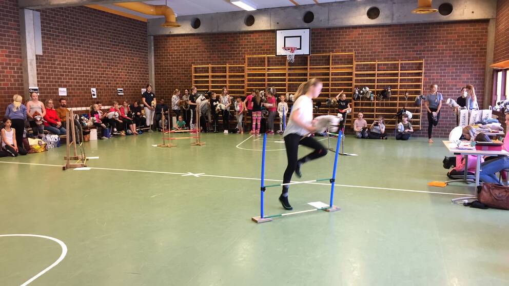 Käpphästtävling lockade deltagare från hela Sverige SVT Nyheter