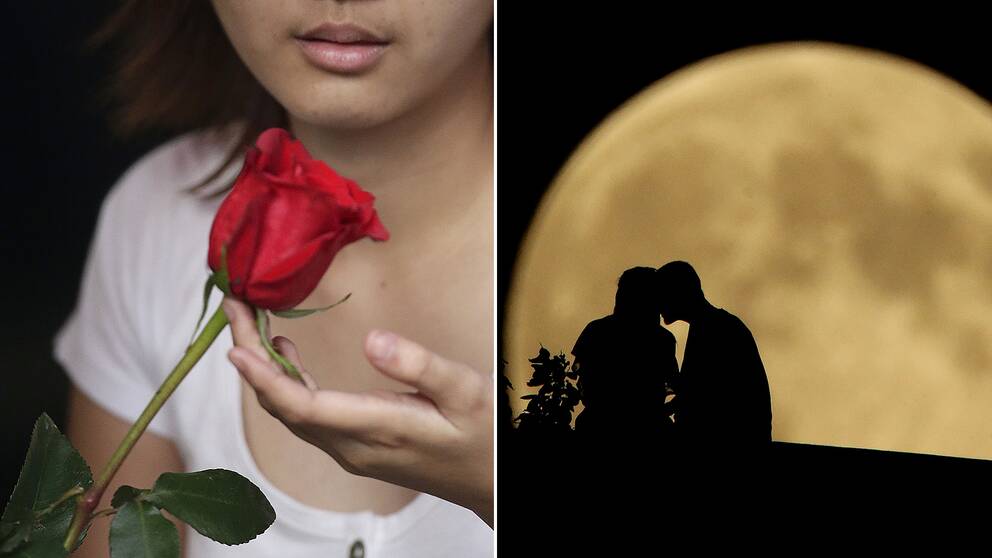 En kvinna med ros och ett par i månskenet