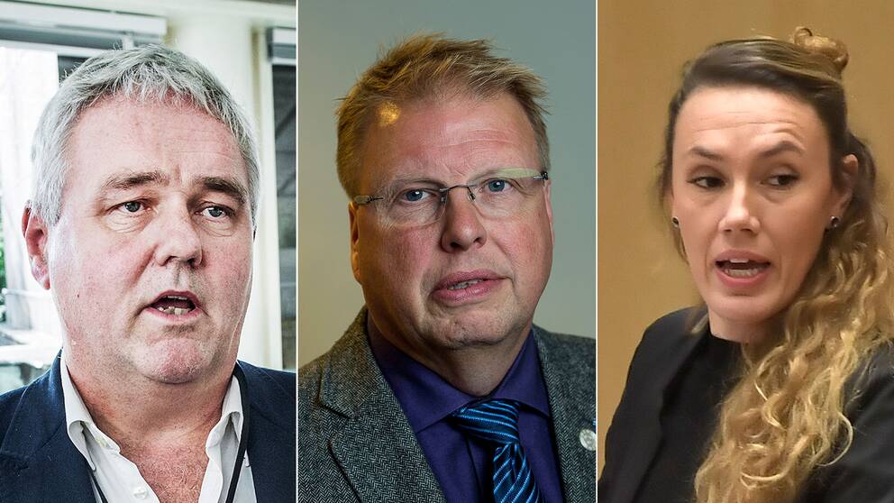 Politikerna Anders W Jonsson (C), Bengt Eliasson (L) och Maj Karlsson (V).