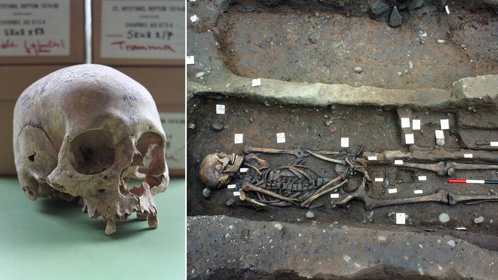 Skelettdelarna tyder på att vikingarna gick en våldsam död till mötes