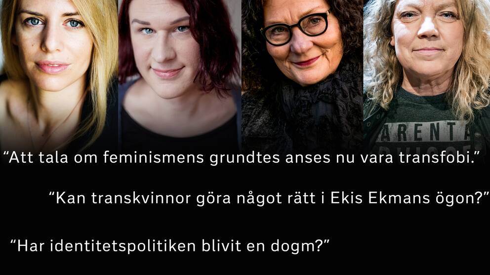 Kajsa Ekis Ekman, Maria Ramnehill, Ebba Witt-Brattström och Elisabeth Ohlson Wallin är några av de som gett sig in i transdebatten.