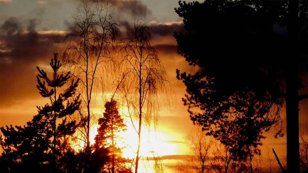 Nu kommer dom fina solnedgångarna igen, konstaterar Marianne Larsson i Värmland.