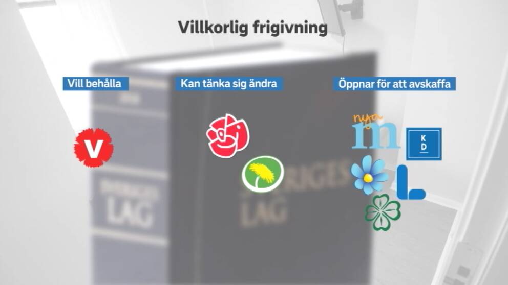 En grafikbild med texten 