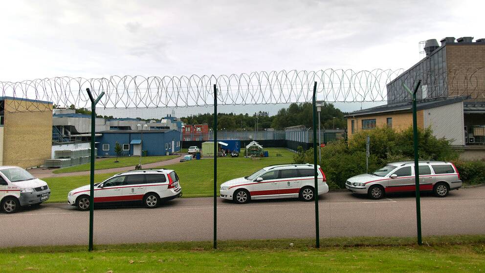 Skogomeanstalten