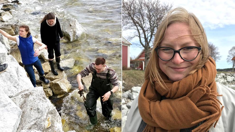 Vad Ska Månadspengen Räcka Till 2019