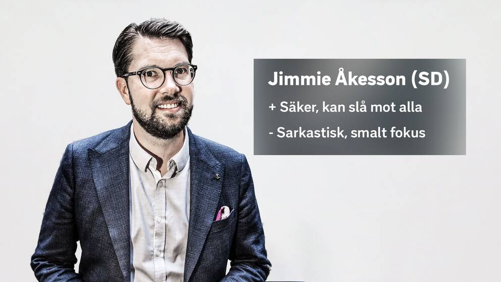 Jimmie Åkesson (SD).