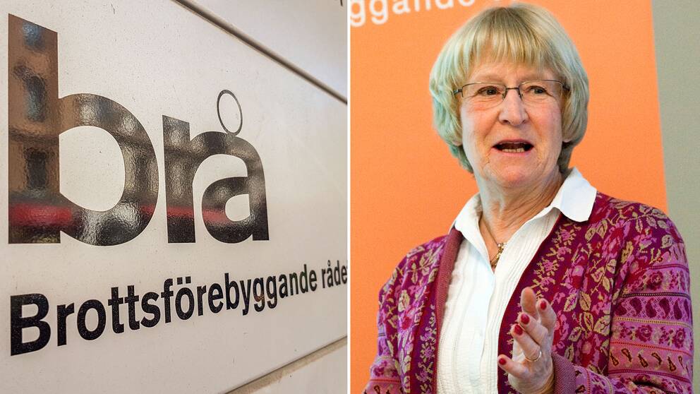 – Vi överväger att studera i vilken utsträckning utrikes födda är överrepresenterade, säger Stina Holmberg, utrednings- och forskningsråd på Brå.
