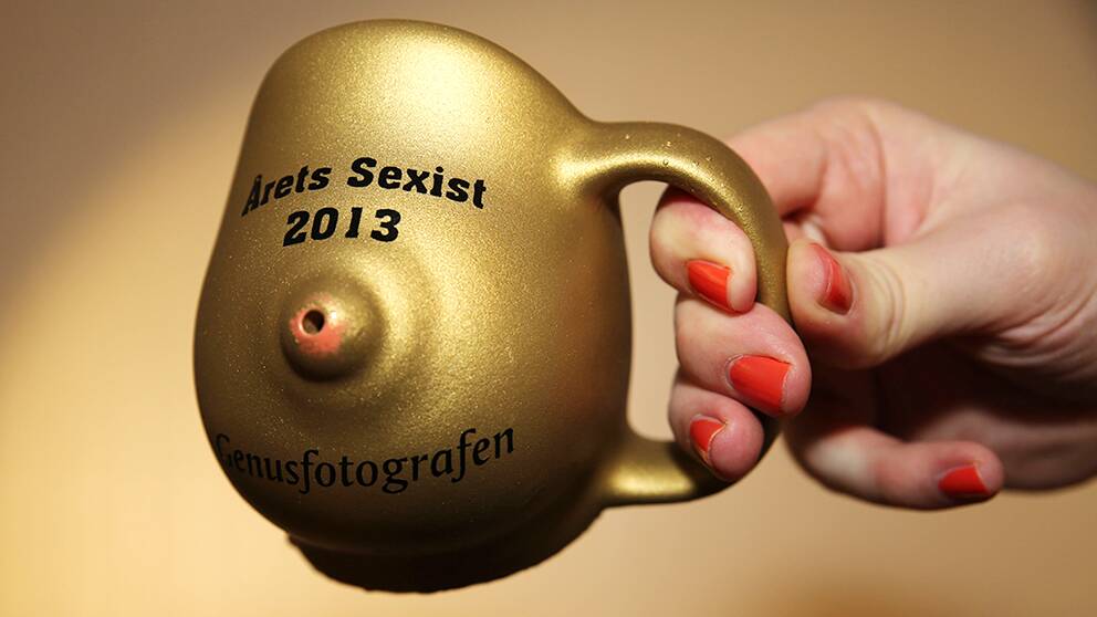 Priset är en guldig mugg föreställandes ett bröst med texten ”Årets sexist 2013” på.
