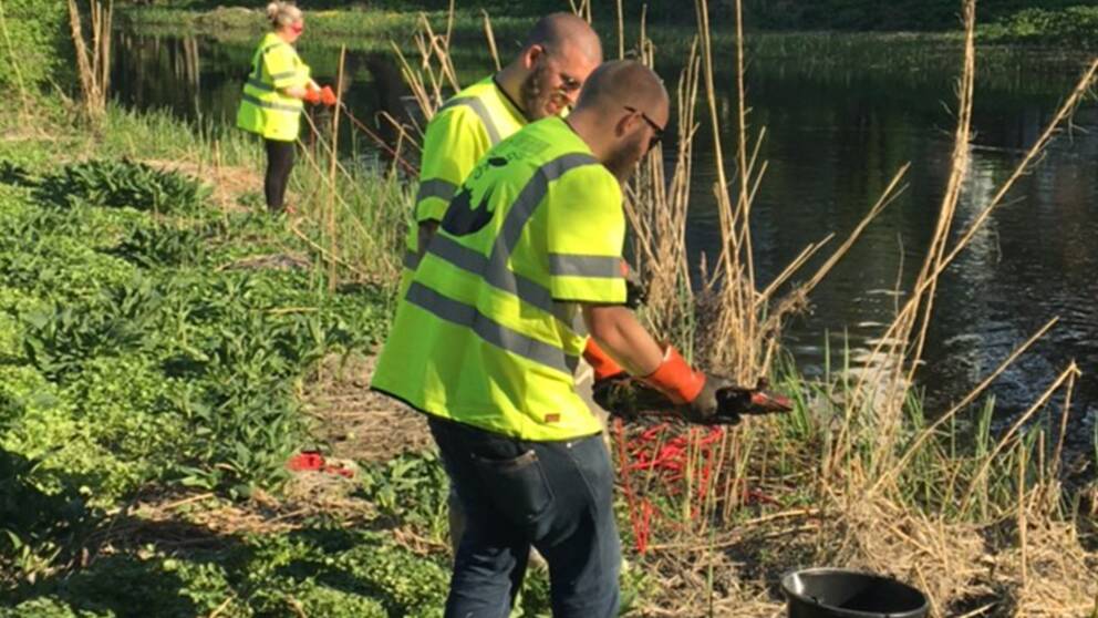 två män plockar upp föremål ur å