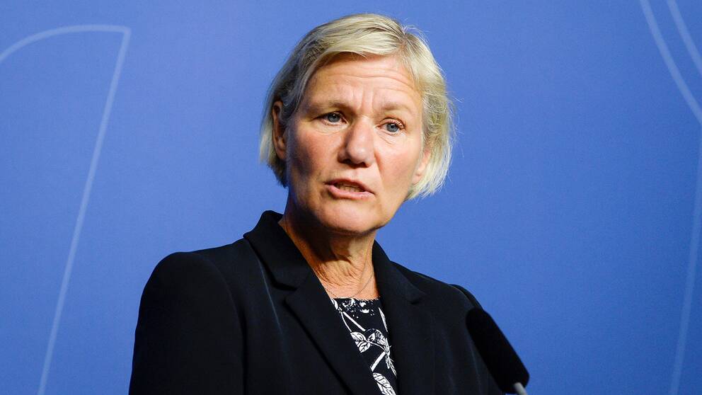 Försäkringskassans sparkade generaldirektör Ann-Marie Begler.