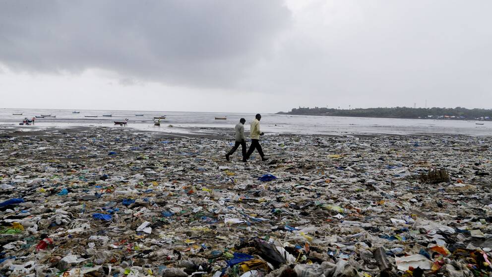 Plast har blivit ett stort miljöproblem. På bilden syns skräp som flutit i land på stranden Versova Beach i Bombay, Indien.