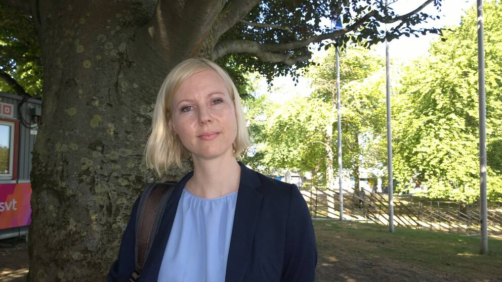 Domstolen ansåg att journalisten Jessikka Aro blivit utsatt för kränkande behandling av nättidningen MV-lehti.