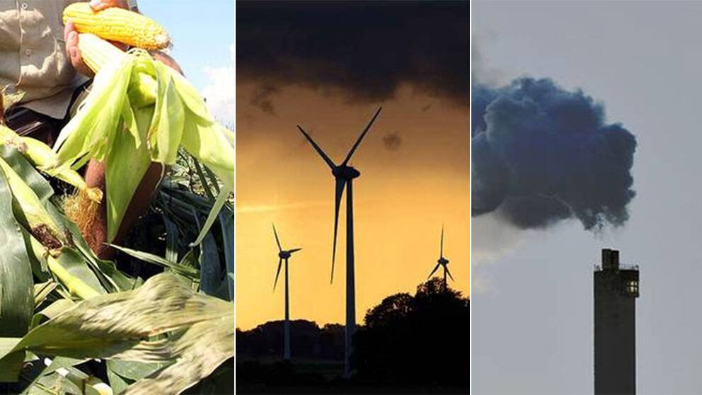 SVT:s miljögranskning gav stora reaktioner, både om mat och vindkraft.