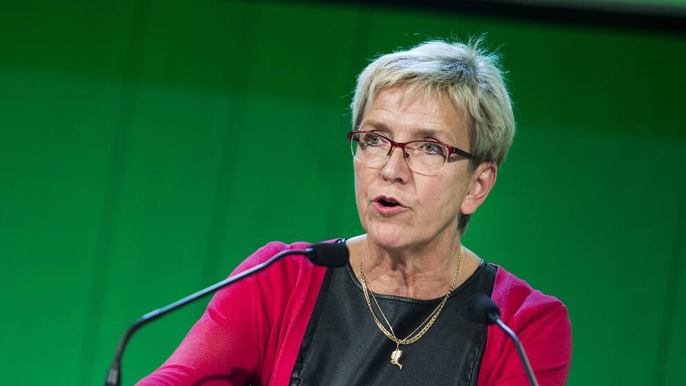 Kerstin Lundgren är Alliansens kandidat till posten som tredje vice talman.