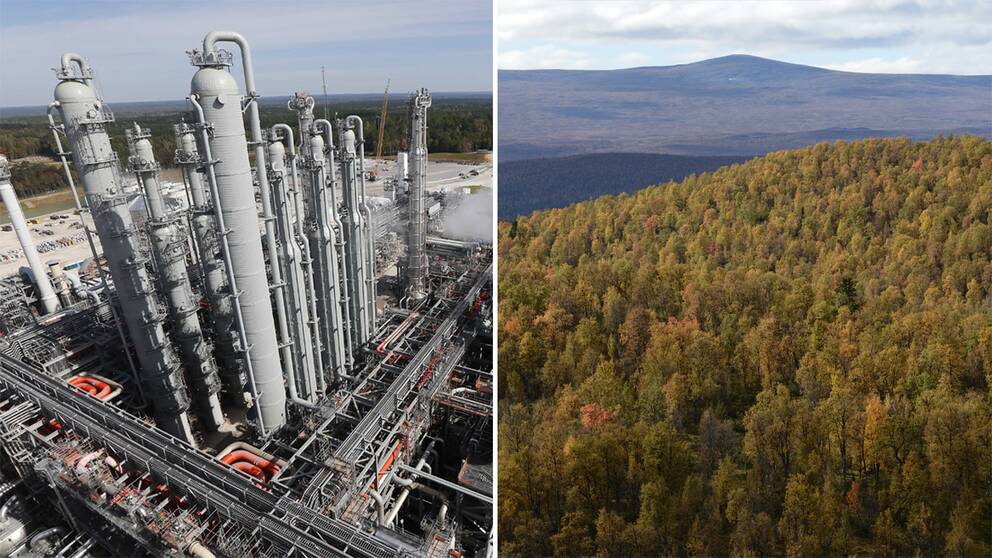 Till vänster anläggning för carbon storage, till höger trädtoppar i skog.