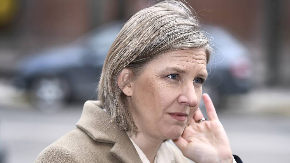 Sveriges miljöminister Karolina Skog (MP).