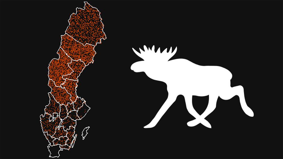 En grafik som visar en älg samt en karta som visar vart i landet älgarna har fällts. Varje prick motsvarar ungefär 10 stycken älgar.