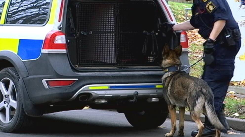Bildresultat fÃ¶r hundpatrull polisen