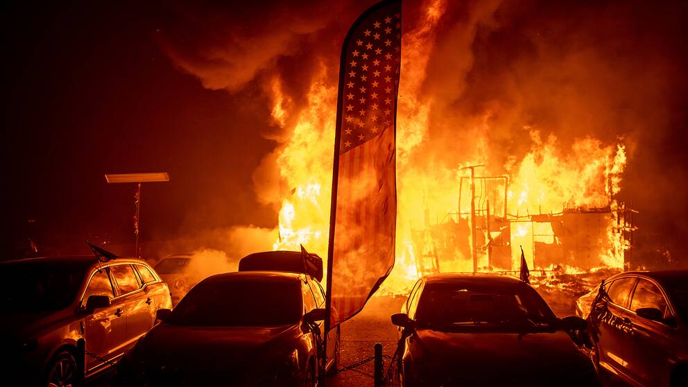 En bilhandelsfirma går upp i rök i Paradise i Kalifornien.