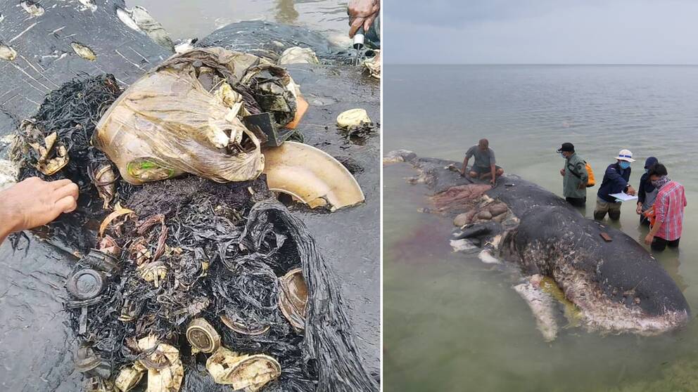 Kina, Filippinerna, Vietnam, Thailand och just Indonesien står ensamma för 60 procent av det plastskräp som finns i haven.