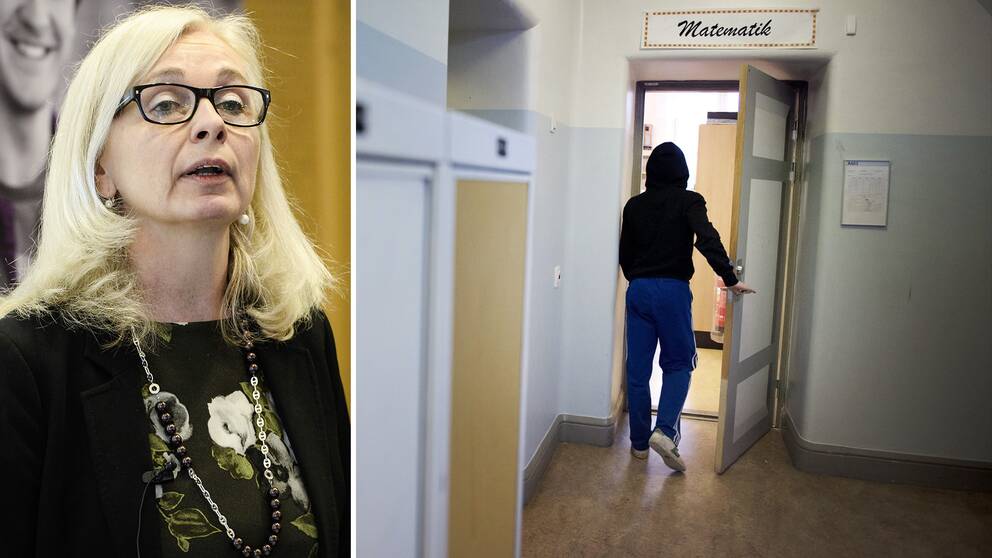 Helén Ängmo, chef för Skolinspektionen
