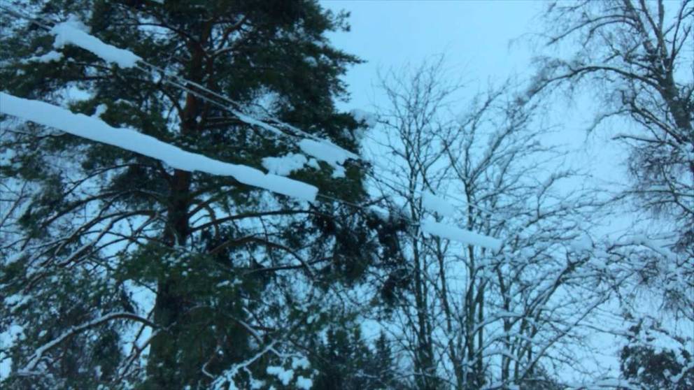 Få Bort Finnar över Natten
