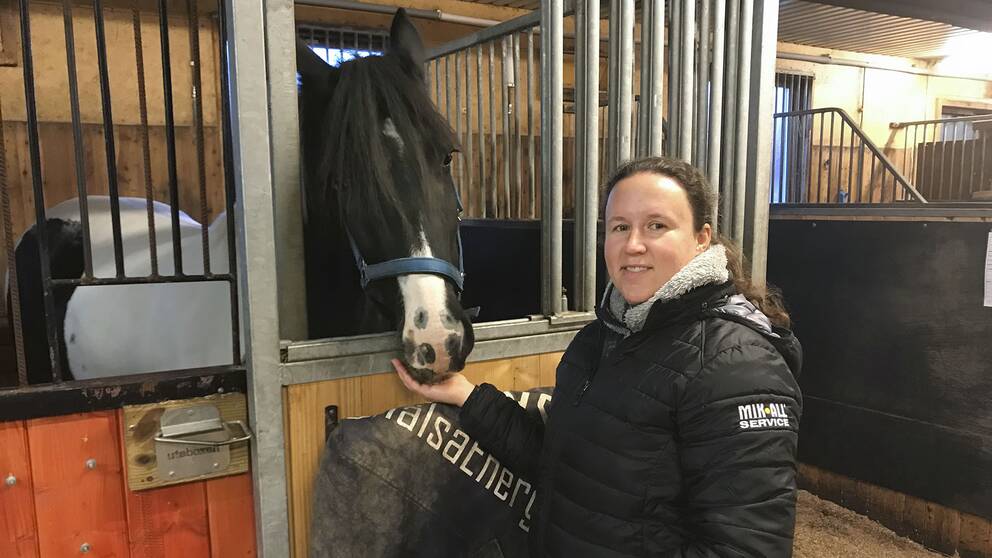 Kvinna som står i stall och matar en häst som står i en box.