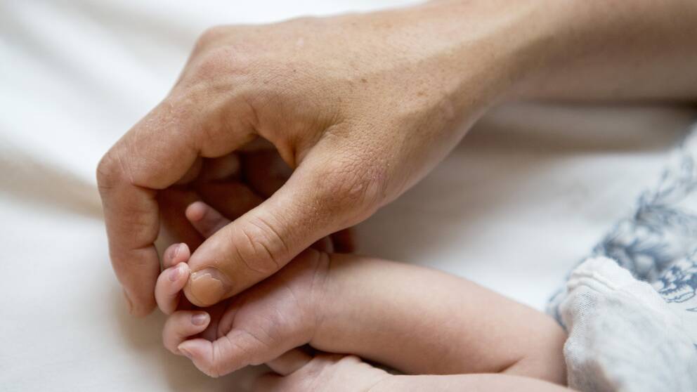 En bild på en hand som håller om ett nyfött barns hand.