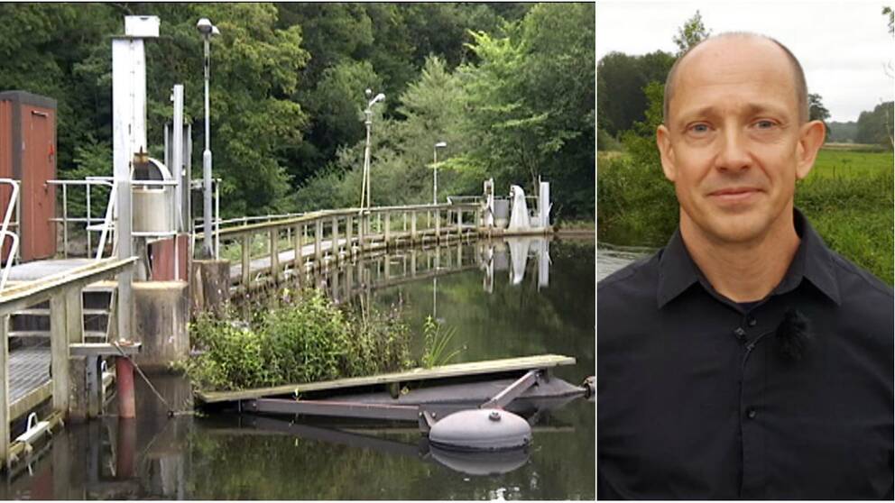 ”Ett viktigt beslut för ålbeståndet”, säger Tord Andersson miljöstrateg i Klippans kommun.