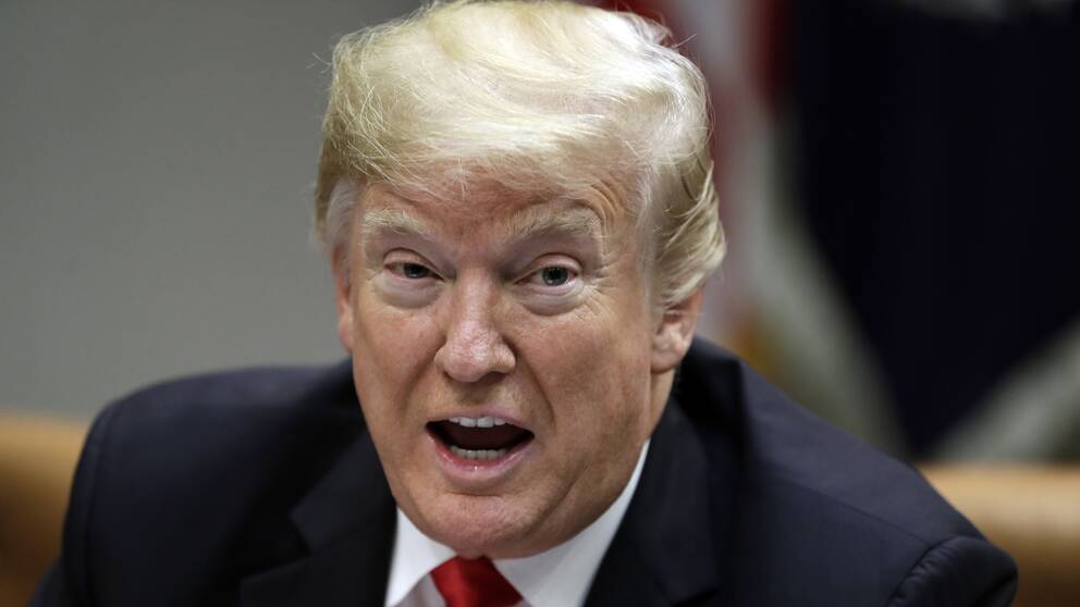 Bild på USA:s president Donald Trump.