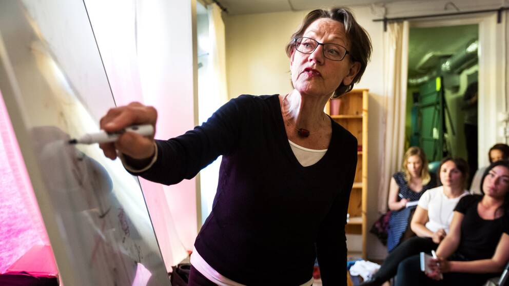 Gudrun Schyman (FI) på ett av många ”homepartys” som partiet genomfört under valrörelsen.