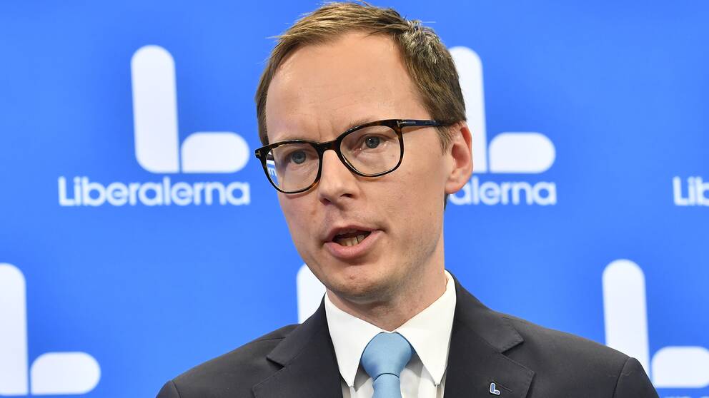 Liberalernas ekonomiskpolitiske talesperson Mats Persson lämnar nu sin post