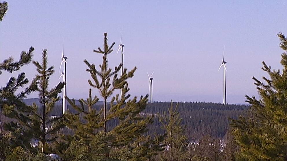 Det lutar nu åt ett nej för de två planerade vindkraftsparkerna norr om Sollefteå.