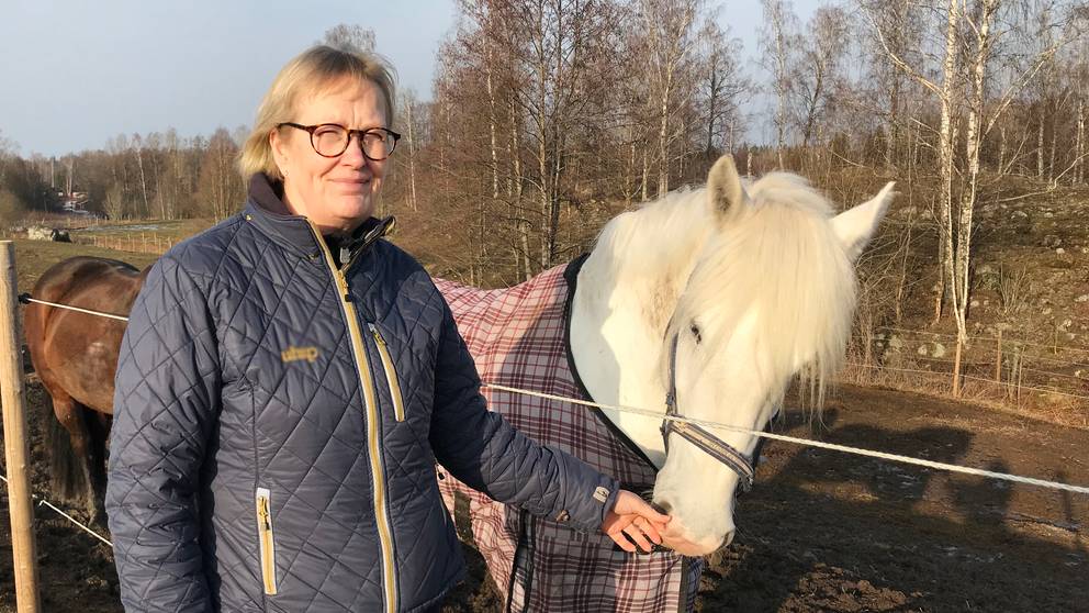 Ridklubb ställer in tävlingar vill skydda sig mot hästsmittan SVT