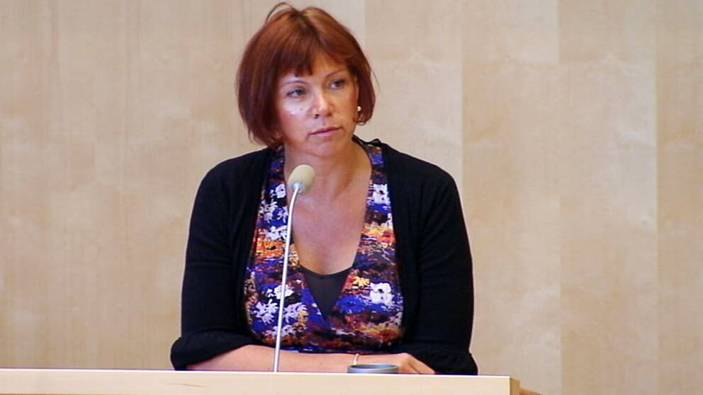 Margareta Larsson (SD) under dagens riksdagsdebatt.