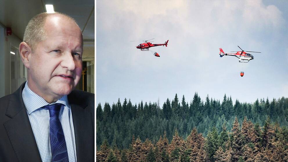 MSB:s generaldirektör Dan Eliasson säger att han är övertygad om att Sverige kommer att kunna bygga en nationell resurs med privata brandhelikoptrar.