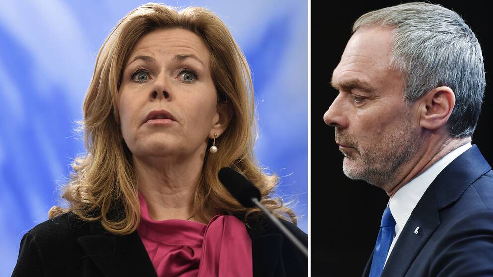 Cecilia Wikström (L) bör lämna sina sidouppdrag, annars bör hon avgå som EU-parlamentariker, säger Liberalernas partiledare Jan Björklund